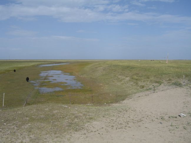  2006:09:06 04:36:20   Possible Beach Ridge on N side of downstream Buha - in delta region - photo b.jpg